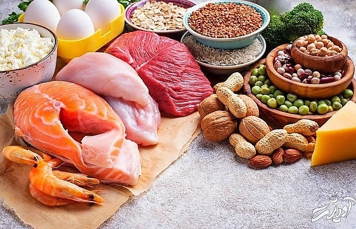 پروتئین ها غذاهای گوگردی